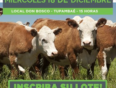 Remate mensual en Local Don Bosco.