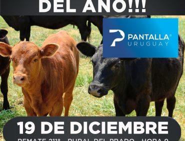 Remate 211° de Pantalla Uruguay.