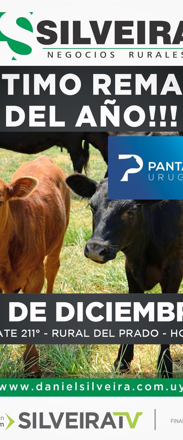 Remate 211° de Pantalla Uruguay.