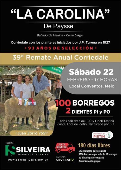 Cabaña ¨La Carolina¨de Payssé